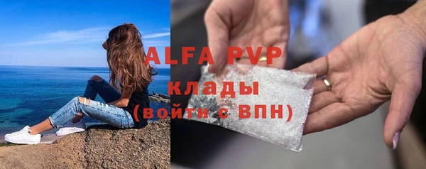 индика Белокуриха