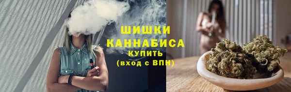 индика Белокуриха