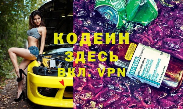 индика Белокуриха