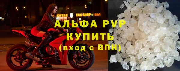 индика Белокуриха