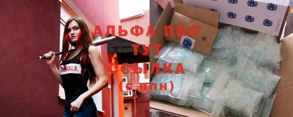 индика Белокуриха