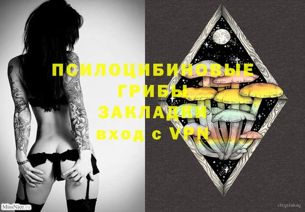 индика Белокуриха