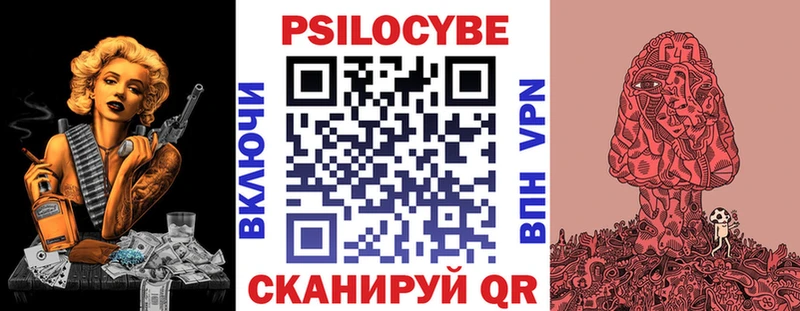 Купить где Куса Галлюциногенные грибы GOLDEN TEACHER